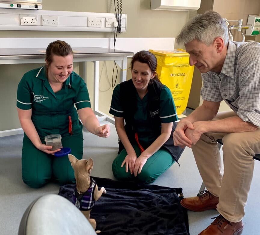 Dr. Dan Brockman (Repair Surgeon) and team with their recovered patient JoJo.