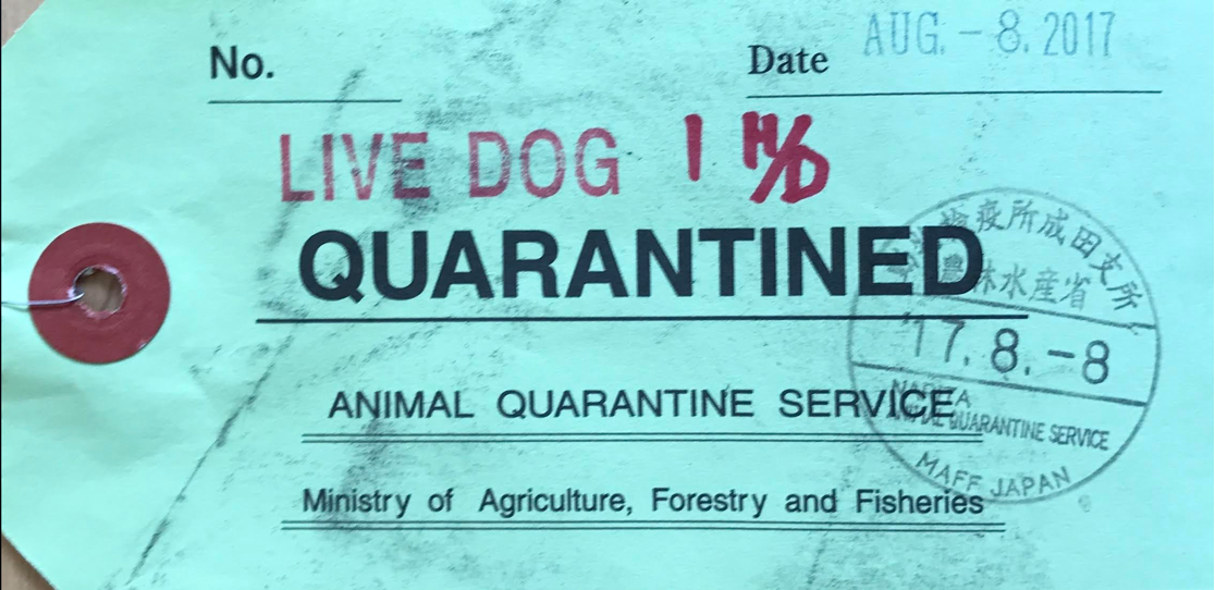 Provided by Narita Quarantine Service